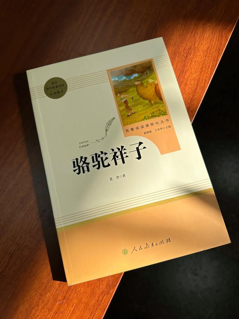 乡村乱情第十八部全文免费在线阅读