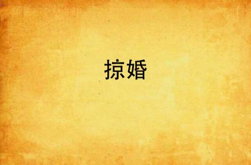 掠婚小说免费阅读在线 - 热门霸总追妻文大全