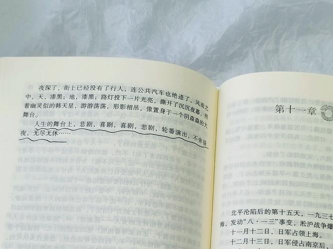 穆斯林的葬礼在线免费阅读 | 完整版无删减