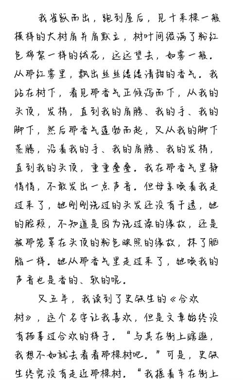 二号首长全文在线阅读_最新章节更新