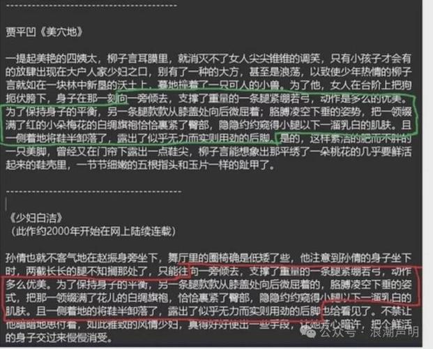 少扫白洁完整版在线阅读 - 免费章节全本无删减