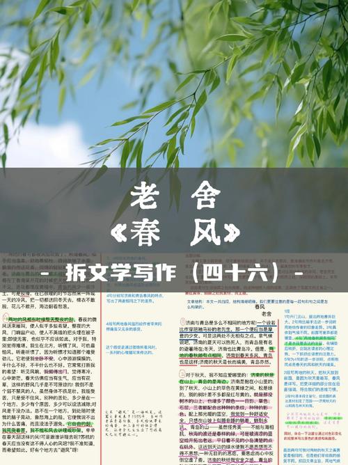 老房子的春天全文免费在线阅读 | 经典怀旧小说