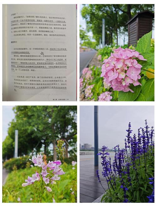 挪威的森林在线阅读｜村上春树经典爱情小说全文免费阅读