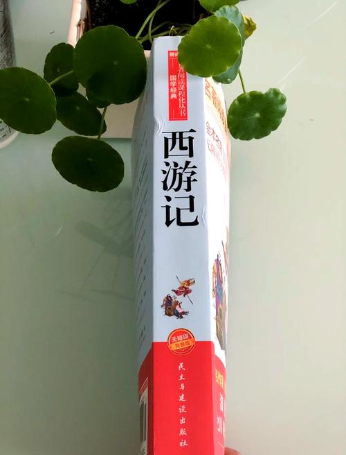 黎明之街全文免费在线阅读 | 东野圭吾经典小说