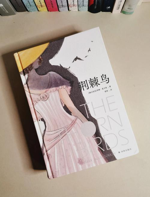 荆棘鸟在线阅读 | 经典爱情小说全文免费阅读