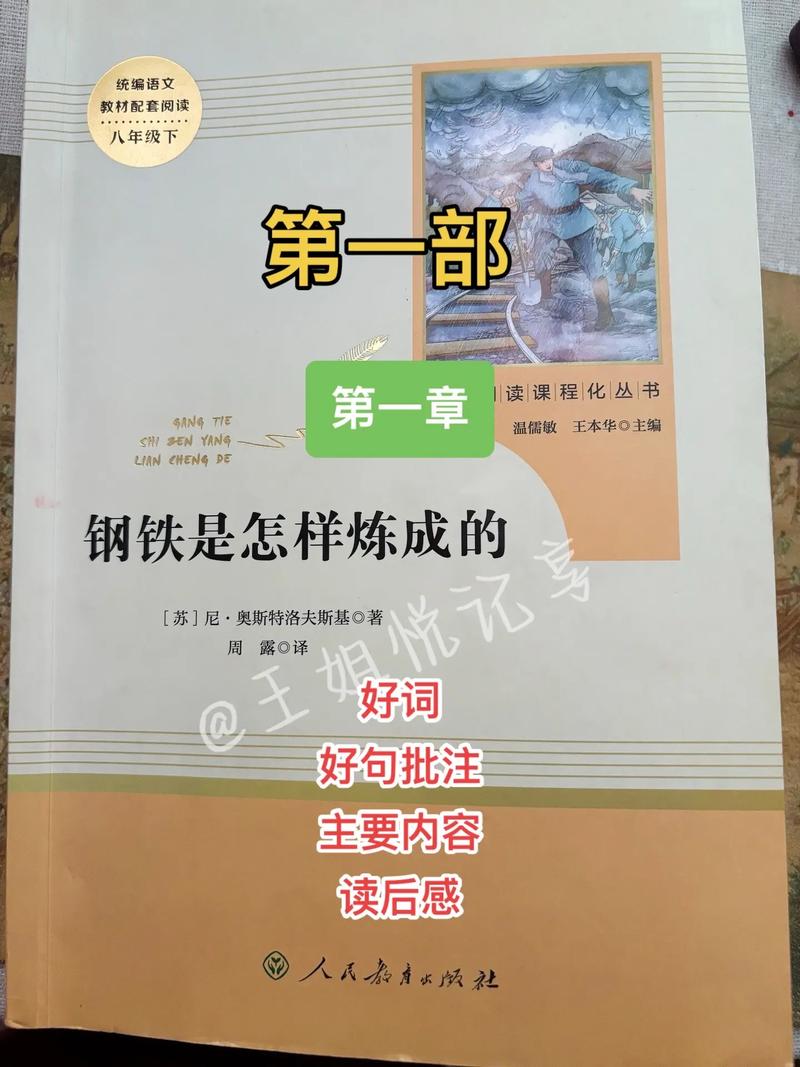 钢铁是怎样炼成的在线阅读 | 保尔柯察金成长史 | 经典名著电子书