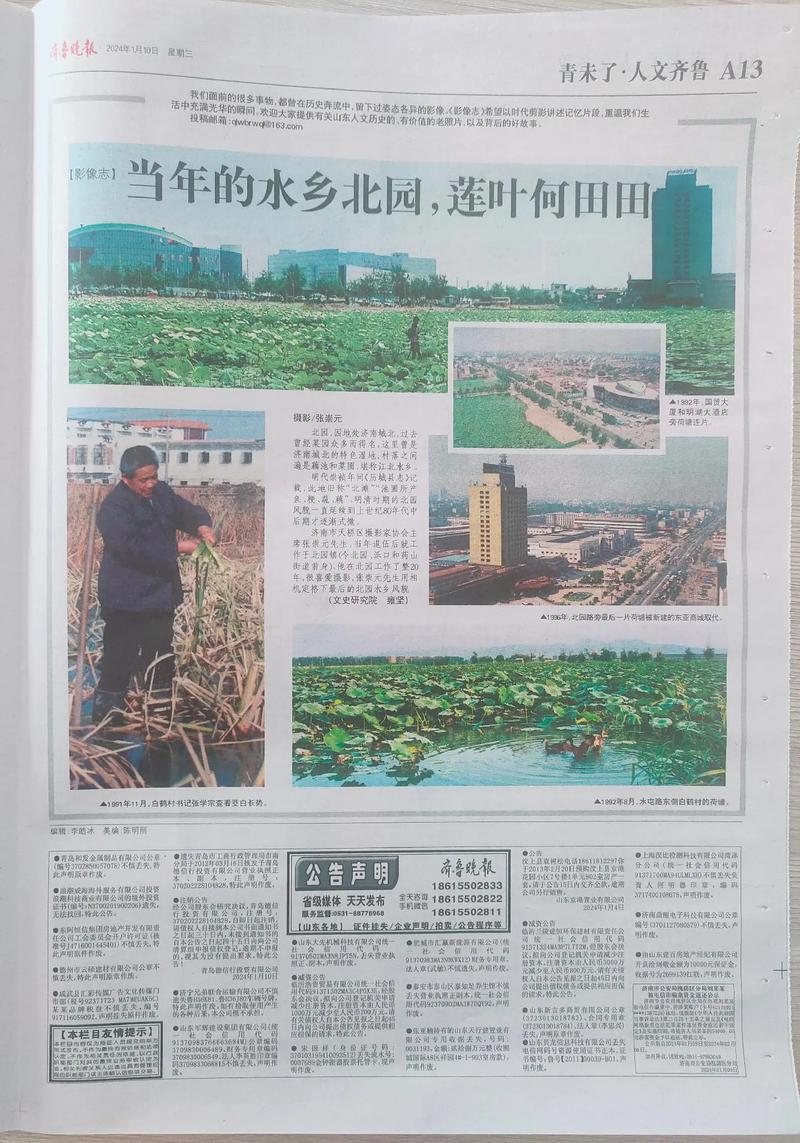 齐鲁晚报在线阅读:实时更新山东本地新闻与深度报道
