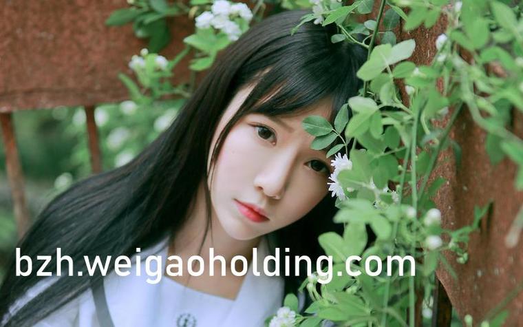 《悟空传》小说在线阅读 | 今何在经典奇幻作品