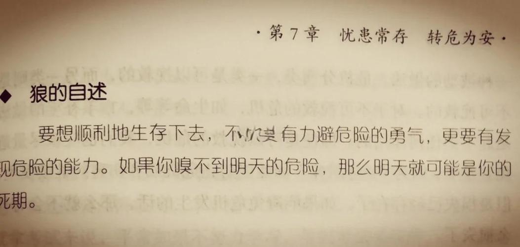 狼道在线阅读：揭秘狼性法则与生存智慧，强者必读