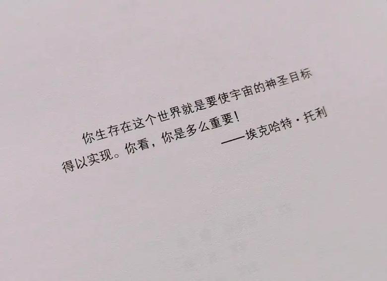 《当下的力量》在线阅读：觉醒当下，找回内心平静与力量