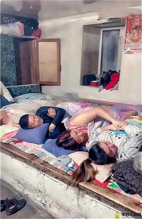 东北大炕在线阅读 | 感受东北乡村生活的温暖与烟火气
