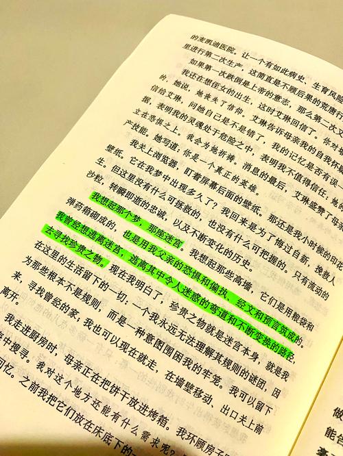 你当像鸟飞往你的山在线阅读 | 塔拉·韦斯特弗自传