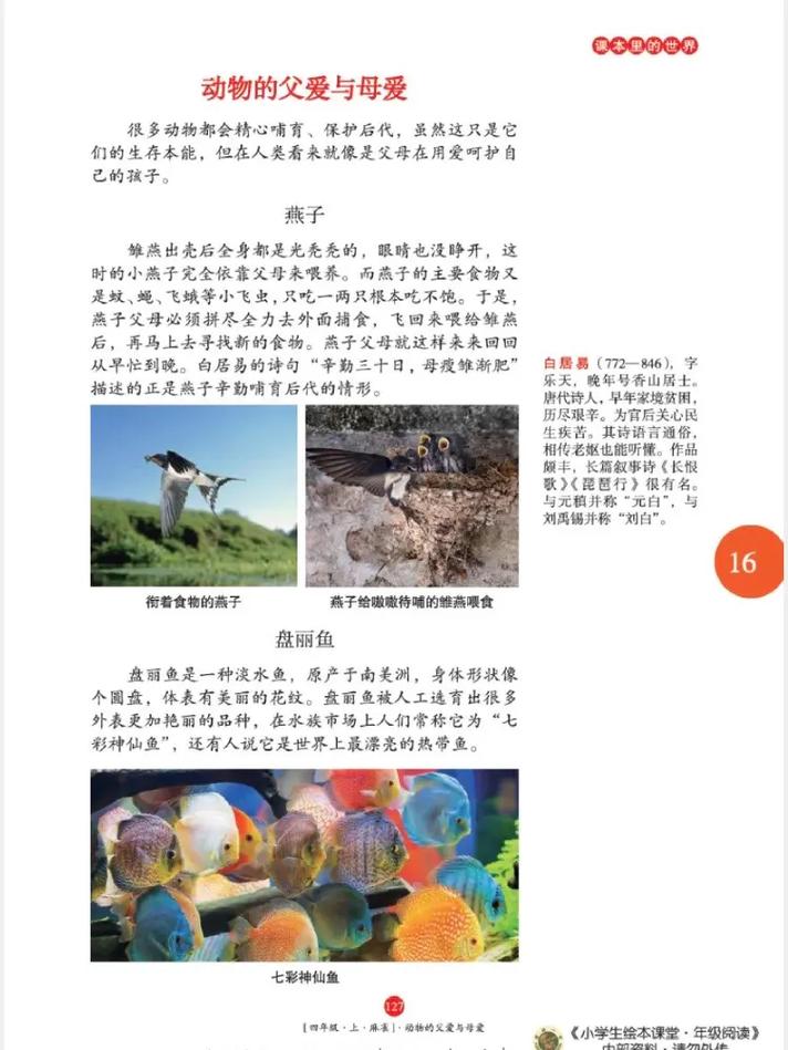 麻雀全文免费在线阅读-最新更新章节