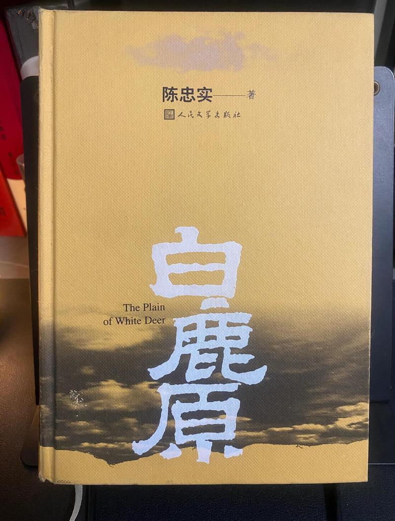 都市风流医圣王云杰全文在线阅读