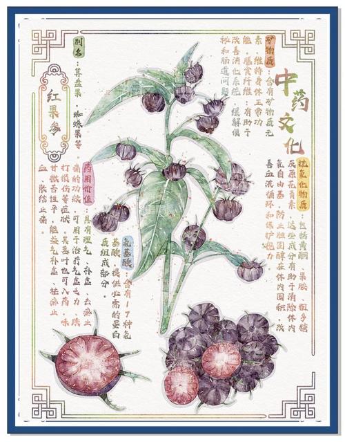 《本草纲目》在线阅读｜中医药经典古籍全文检索