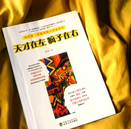 天才在左疯子在右在线阅读｜精神病人访谈手记