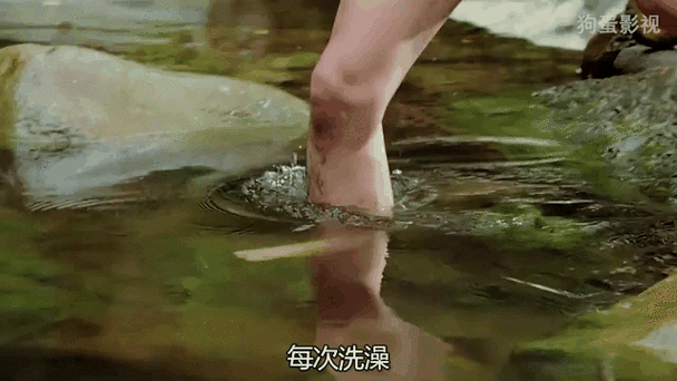 狂神漫画全集在线阅读 | 高清完整版免费看