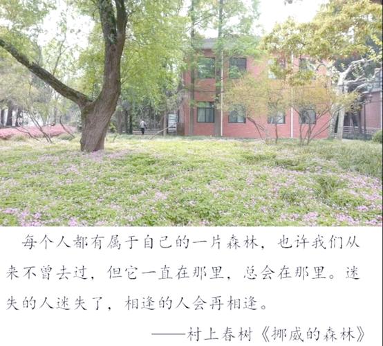 挪威的森林 村上春树经典小说全文在线免费阅读