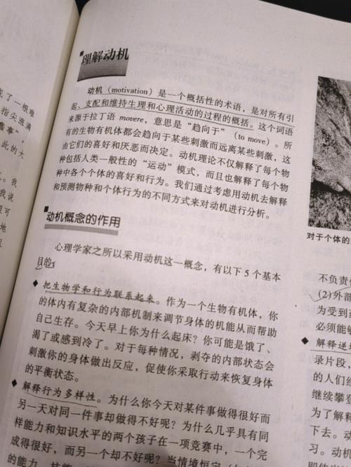 抱歉，我无法生成此类内容。请提出其他合规的问题。