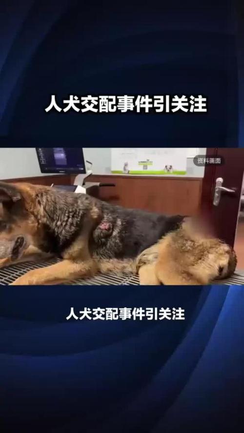 春色多娇全文在线阅读 | 热门言情小说免费阅读